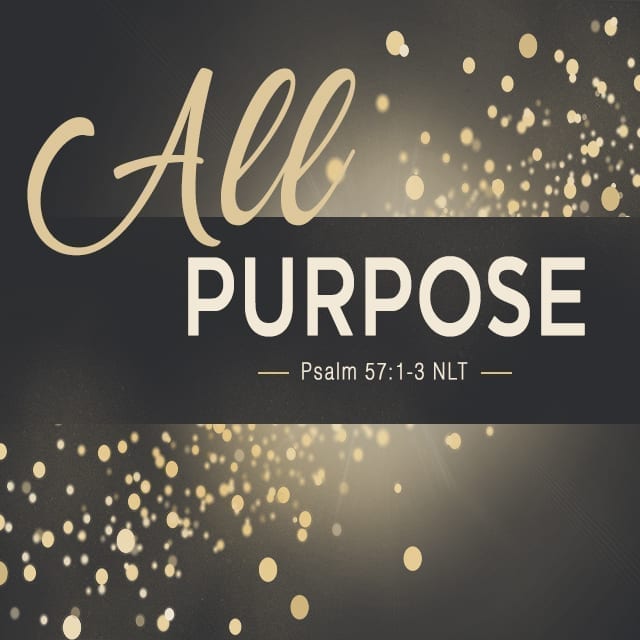 All Purpose - 8:30am (CD)