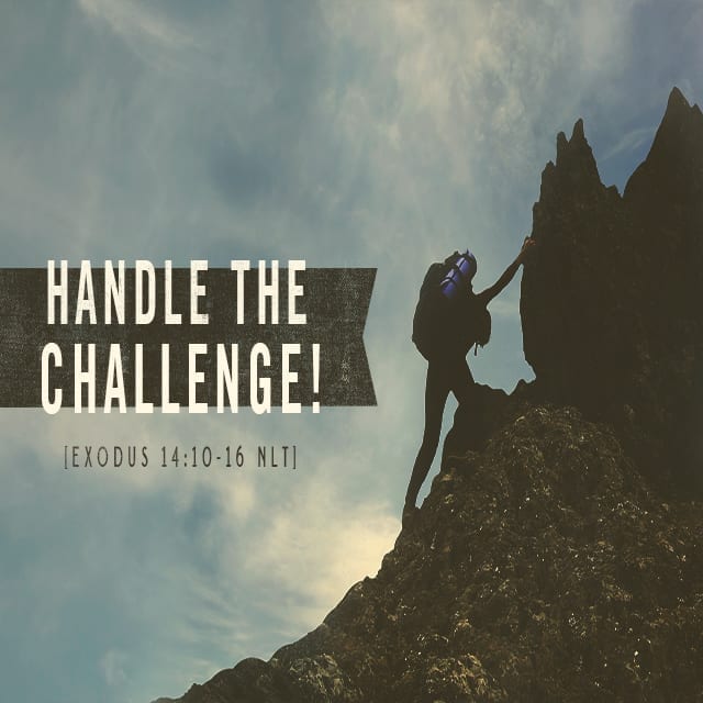Handle the Challenge! - 8:30am (CD)