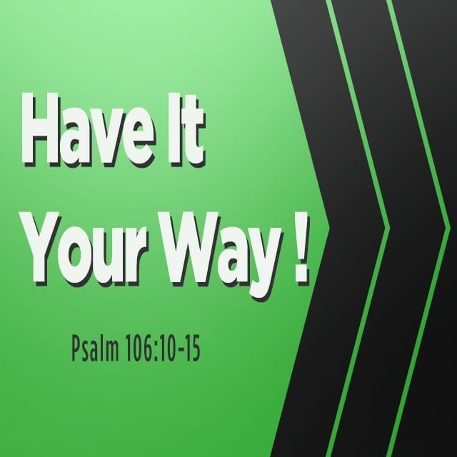 Have It Your Way! - 8:30am and 11am (CD)