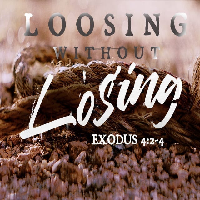 Loosing Without Losing - 11:00am (CD)
