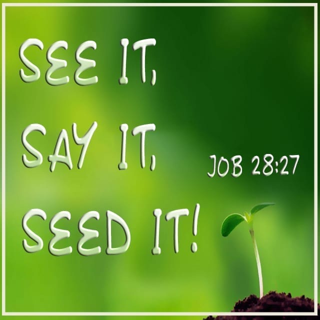 See It Say It Seed It! - 8:30am (CD)
