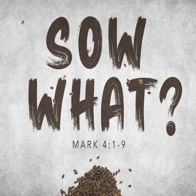 Sow What? - 8:30am (CD)