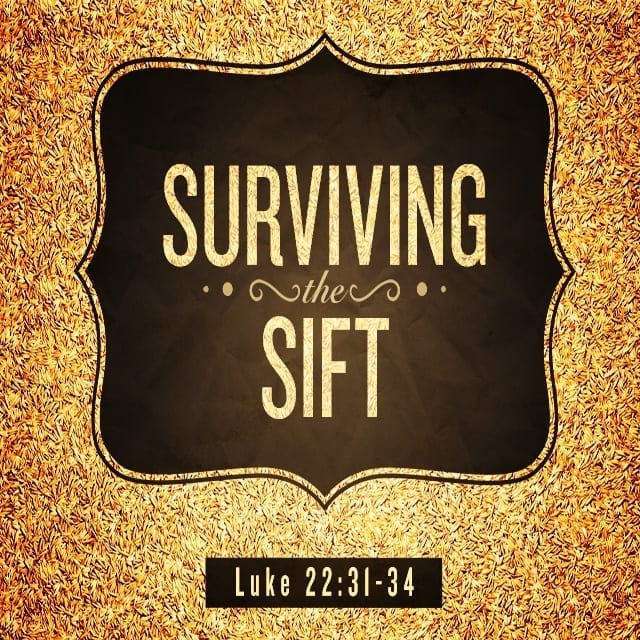 Surviving the Sift - 8:30am (CD)