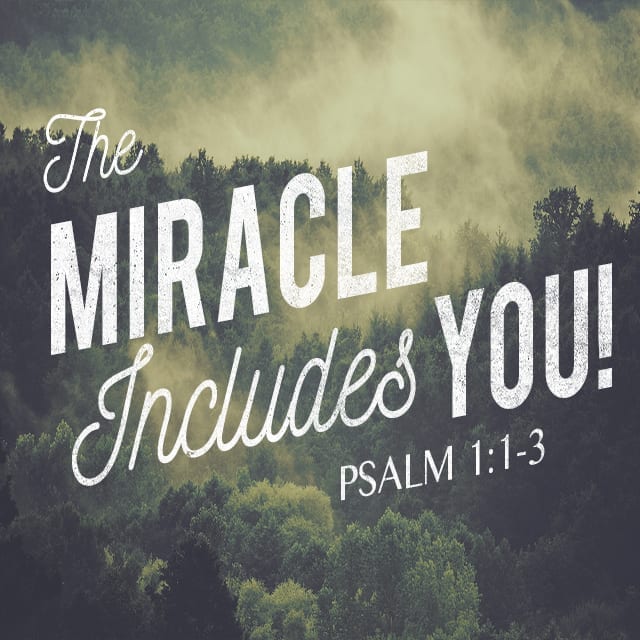 The Miracle Includes You! - 11:00am (CD)